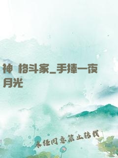 神級格斗家
