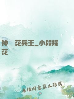 神級護花兵王