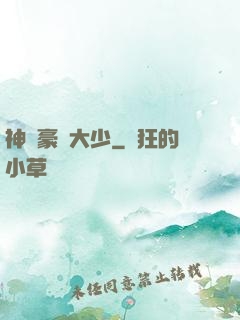 神級豪門大少