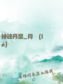 神魂丹圣
