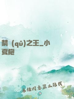 禁區(qū)之王
