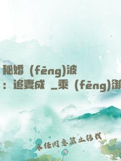 秘婚風(fēng)波：追妻成癮