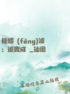 秘婚風(fēng)波：追妻成癮
