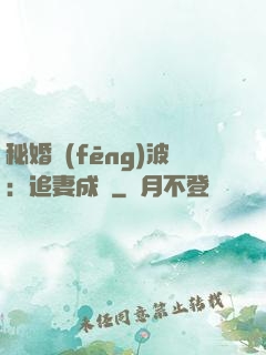 秘婚風(fēng)波：追妻成癮
