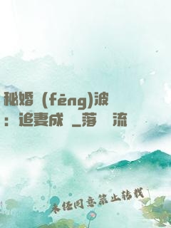 秘婚風(fēng)波：追妻成癮