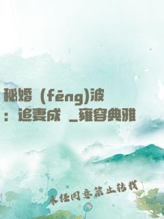 秘婚風(fēng)波：追妻成癮