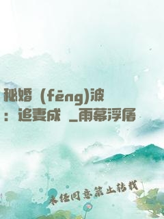 秘婚風(fēng)波：追妻成癮