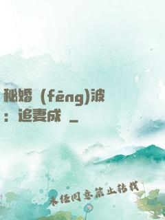 秘婚風(fēng)波：追妻成癮