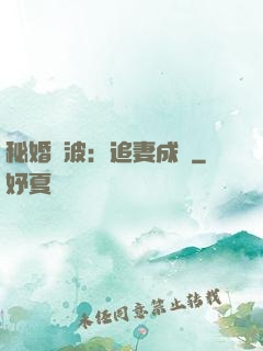秘婚風波：追妻成癮