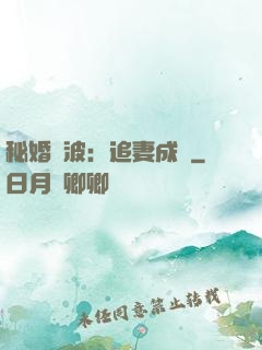 秘婚風波：追妻成癮