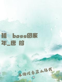 租個陸boss回家過年