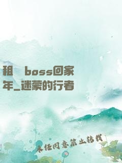 租個陸boss回家過年
