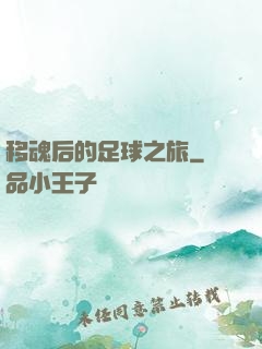 移魂后的足球之旅