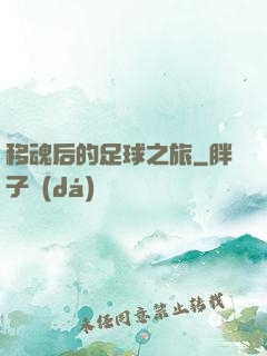移魂后的足球之旅