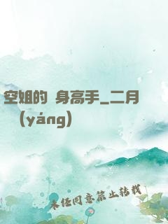 空姐的貼身高手