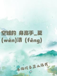 空姐的貼身高手