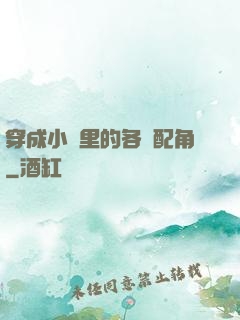 穿成小說里的各類配角