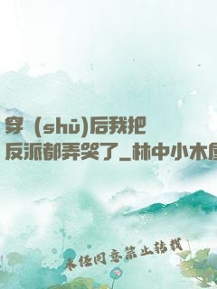 穿書(shū)后我把反派都弄哭了