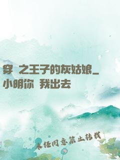 穿書之王子的灰姑娘