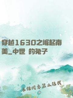 穿越1630之崛起南美