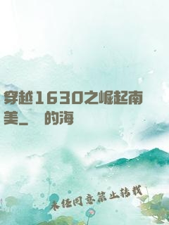 穿越1630之崛起南美