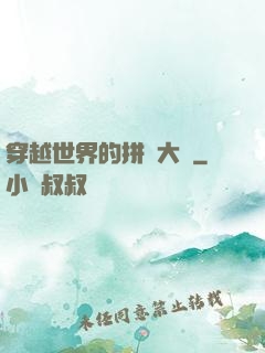 穿越世界的拼裝大師