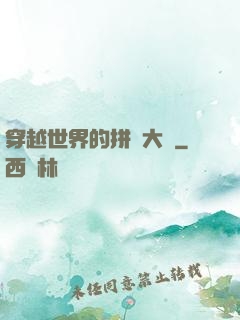 穿越世界的拼裝大師