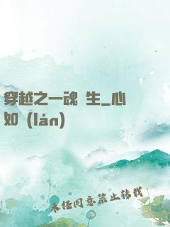 穿越之一魂雙生