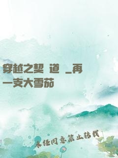 穿越之契約道侶
