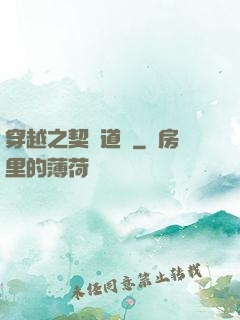 穿越之契約道侶