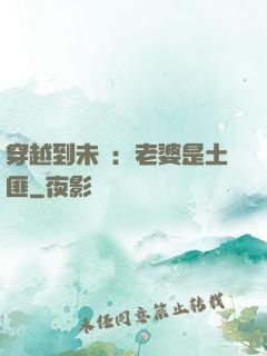 穿越到未來：老婆是土匪