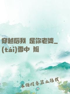 穿越后我還是你老婆