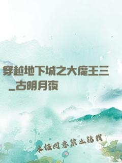 穿越地下城之大魔王三號
