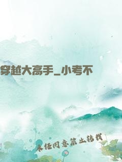 穿越大高手
