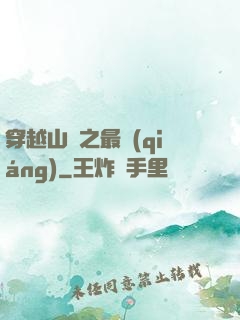 穿越山賊之最強(qiáng)