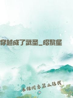 穿越成了武圣