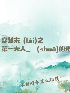 穿越未來(lái)之第一夫人