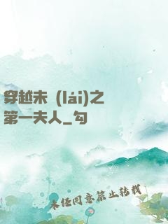 穿越未來(lái)之第一夫人