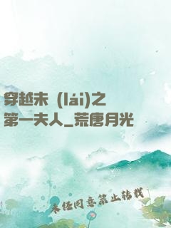 穿越未來(lái)之第一夫人