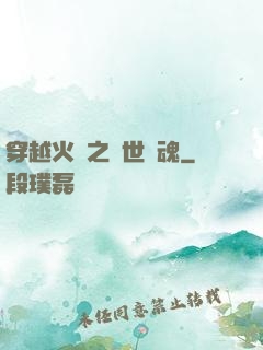 穿越火線之異世軍魂