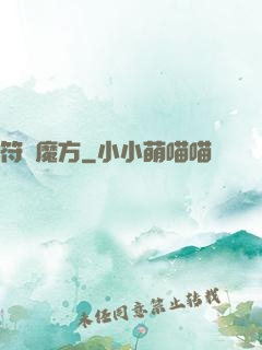 符箓魔方