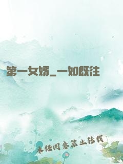 第一女婿
