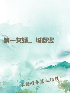 第一女婿