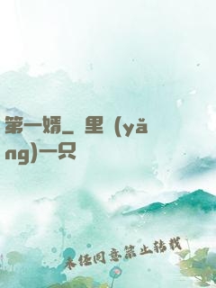 第一婿