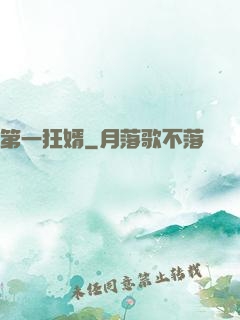 第一狂婿