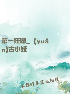 第一狂婿