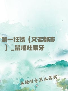 第一狂婿（又名都市潛龍）