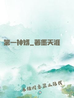 第一神婿