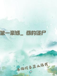 第一豪婿