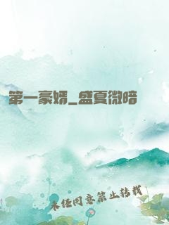 第一豪婿